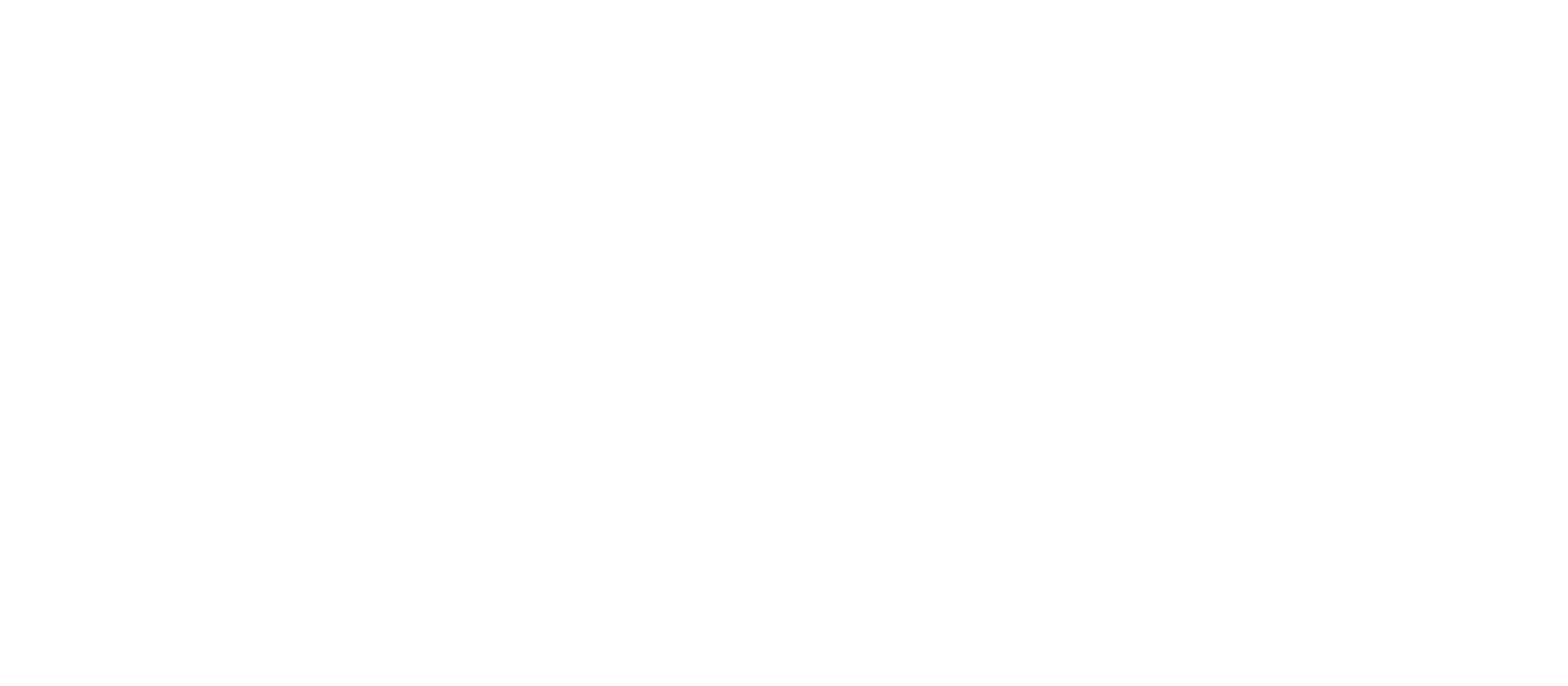 LEVELZ